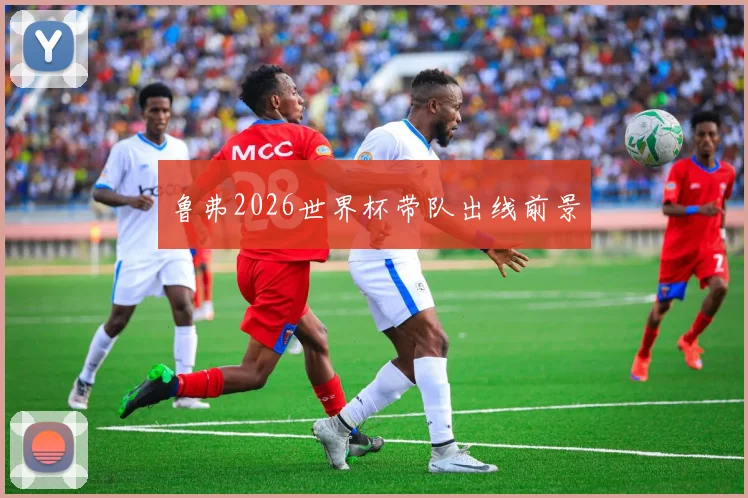 鲁弗2026世界杯带队出线前景