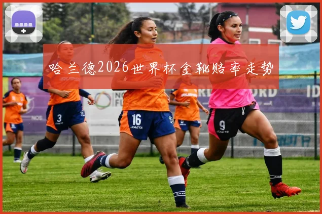 哈兰德2026世界杯金靴赔率走势