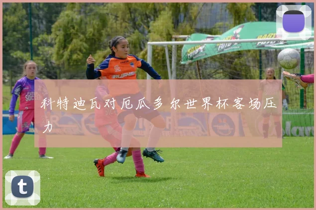 科特迪瓦对厄瓜多尔世界杯客场压力