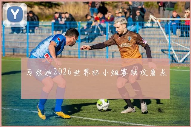 马尔迪2026世界杯小组赛助攻看点