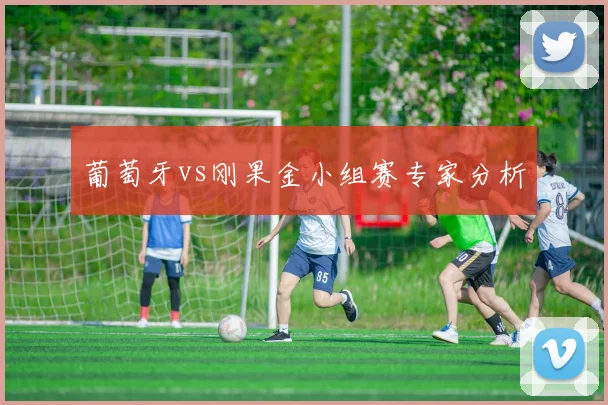 葡萄牙vs刚果金小组赛专家分析