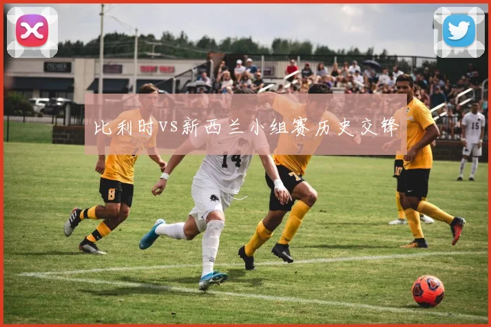 比利时vs新西兰小组赛历史交锋