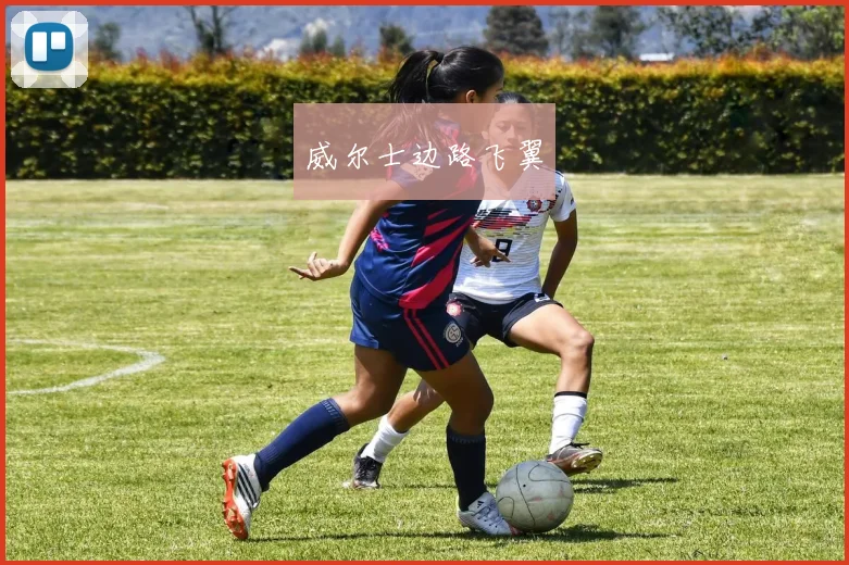威尔士边路飞翼