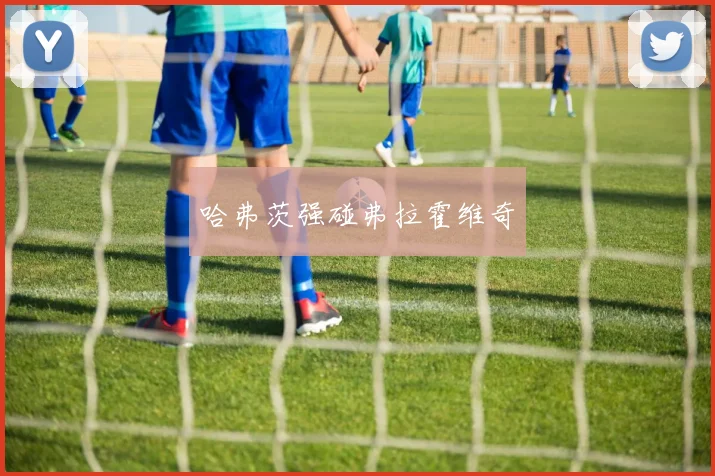 哈弗茨强碰弗拉霍维奇