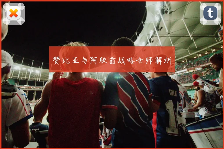赞比亚与阿联酋战略会师解析