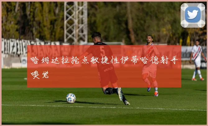 哈姆达拉抢点敏捷性伊蒂哈德射手嗅觉
