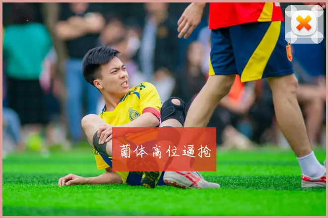葡体高位逼抢