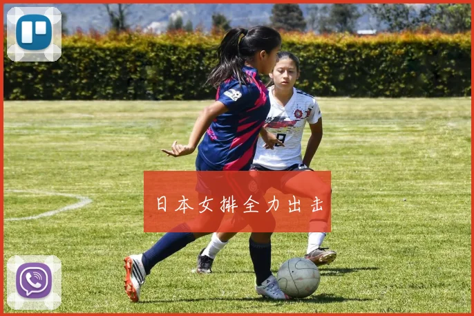 日本女排全力出击
