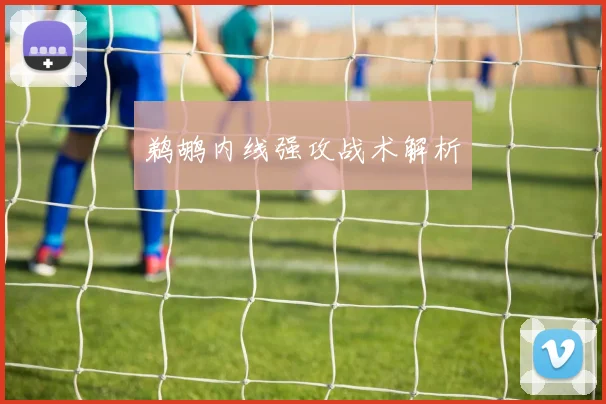 鹈鹕内线强攻战术解析