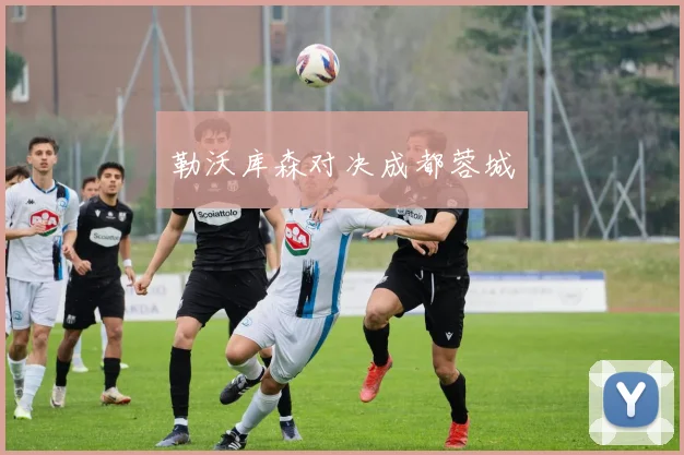 勒沃库森对决成都蓉城