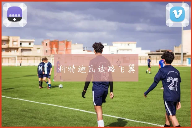 科特迪瓦边路飞翼