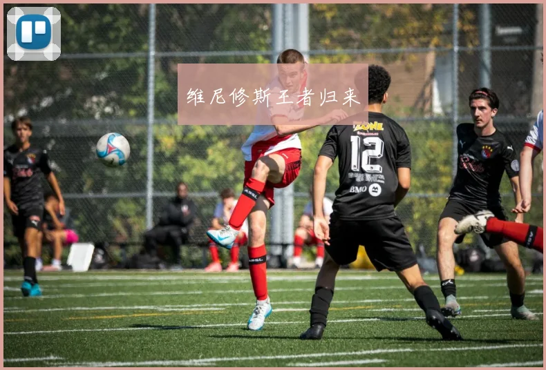 维尼修斯王者归来