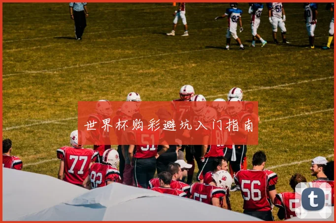 世界杯购彩避坑入门指南