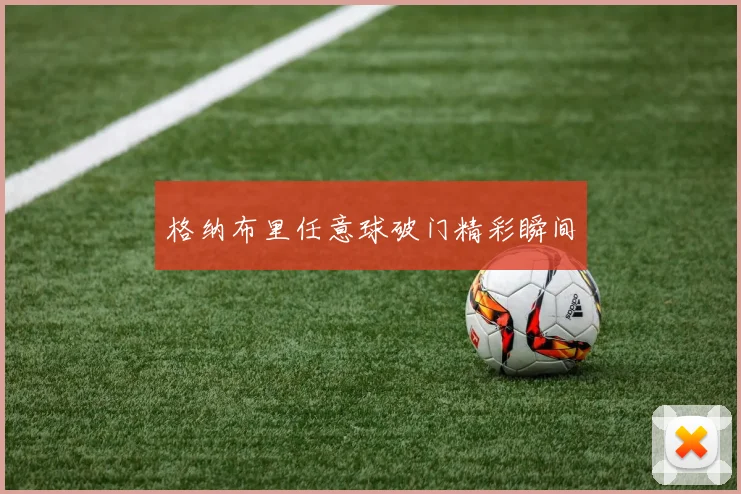 格纳布里任意球破门精彩瞬间