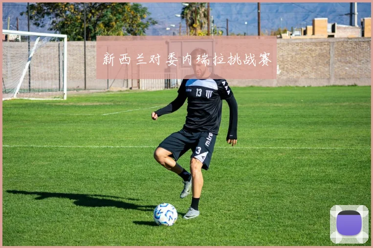 新西兰对委内瑞拉挑战赛