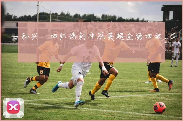 孙兴慜回归热刺冲冠英超全场回放