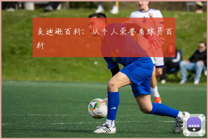麦迪逊百科：从个人荣誉看球员百科