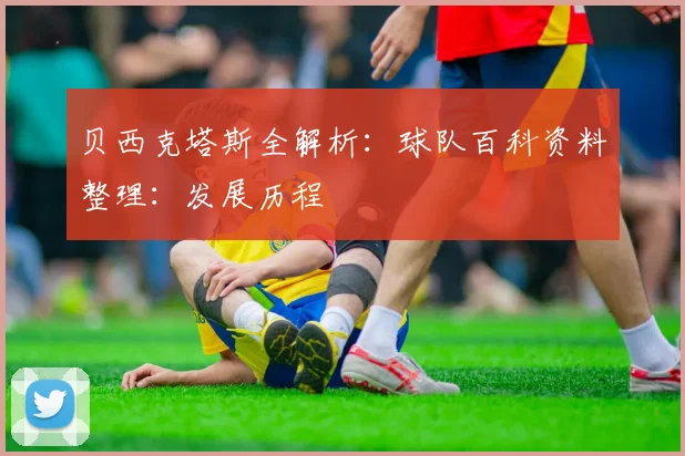 贝西克塔斯全解析：球队百科资料整理：发展历程
