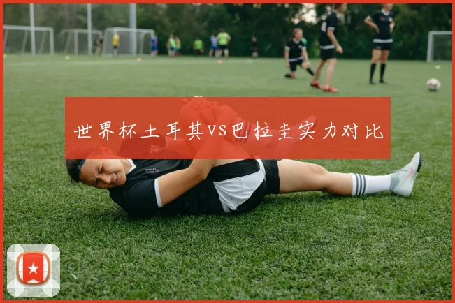 世界杯土耳其vs巴拉圭实力对比