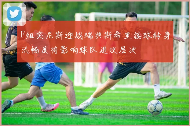 F组突尼斯迎战瑞典斯希里接球转身流畅度将影响球队进攻层次