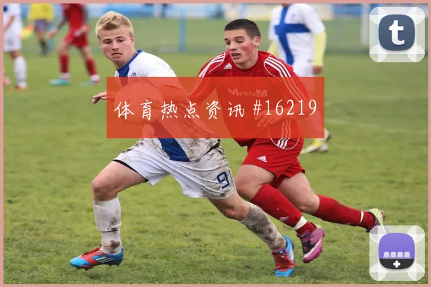 J组阿根廷队vs阿尔及利亚黄牌风险怎么分析