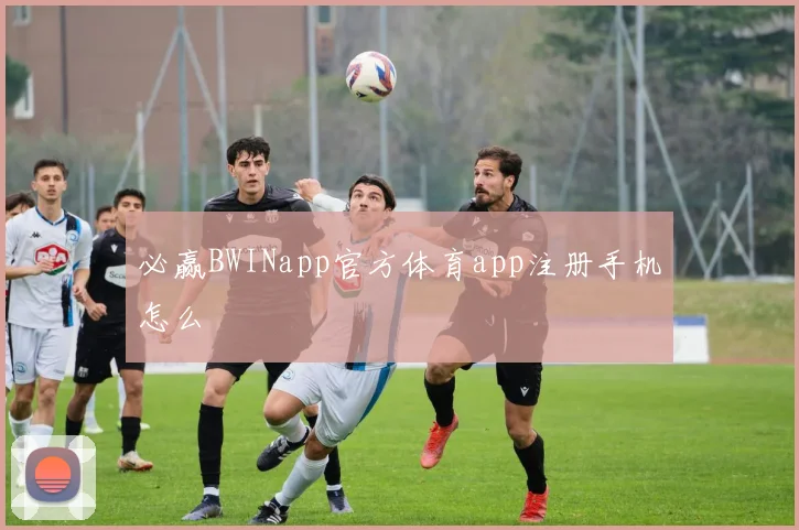 必赢BWINapp官方体育app注册手机怎么